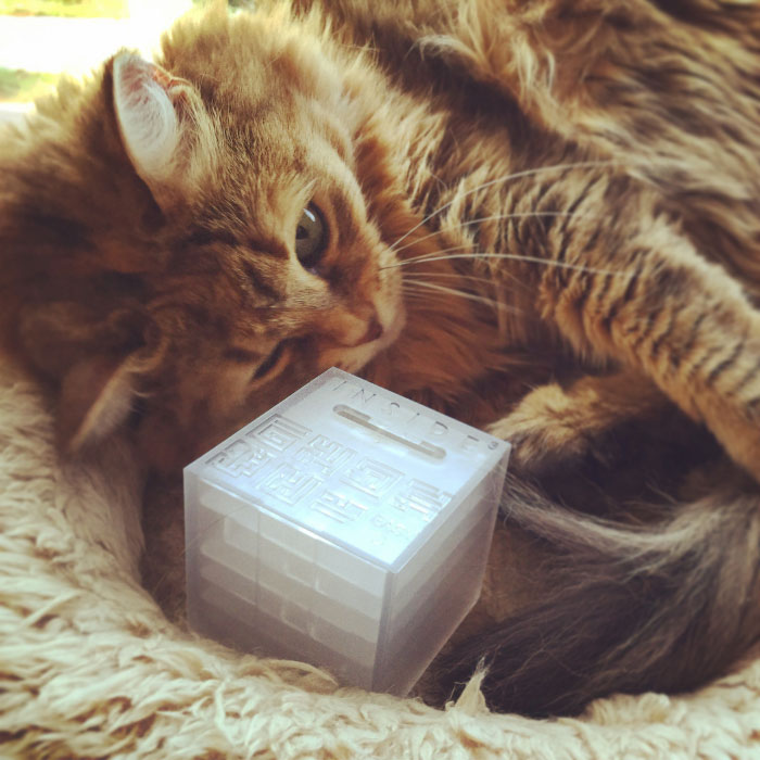 Romain Guirec Piotte a créé Inside Ze Cube.