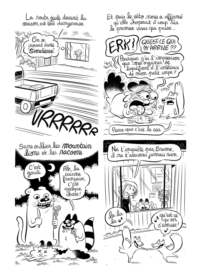 J'ai très peur que Brume ne s'échappe et ne se fasse tuer par un virus, un ennemi ou une voiture. Et nous, on n'a pas de simetierre à proximité.  