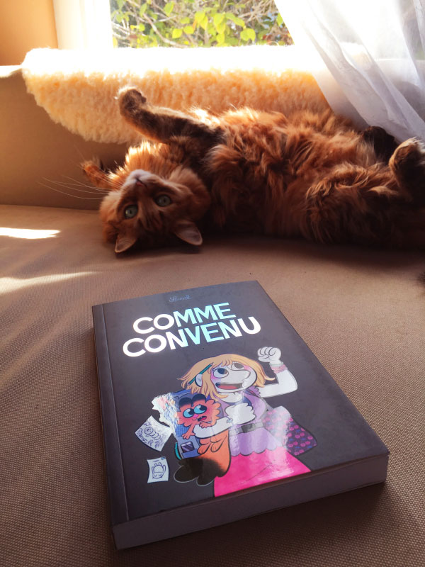 ulule comme convenu bloglaurel auto-édition