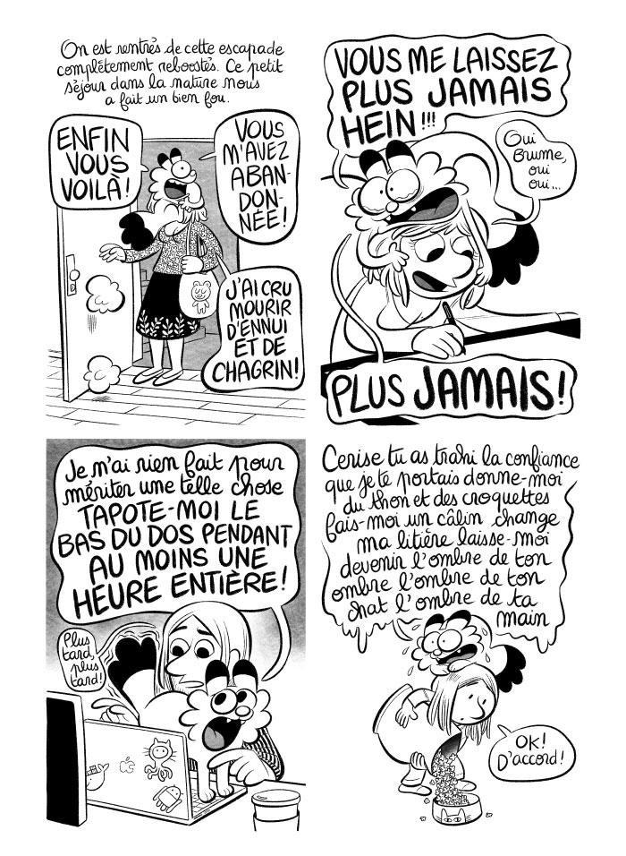 De retour à la maison... nous avons manqué au chat. 