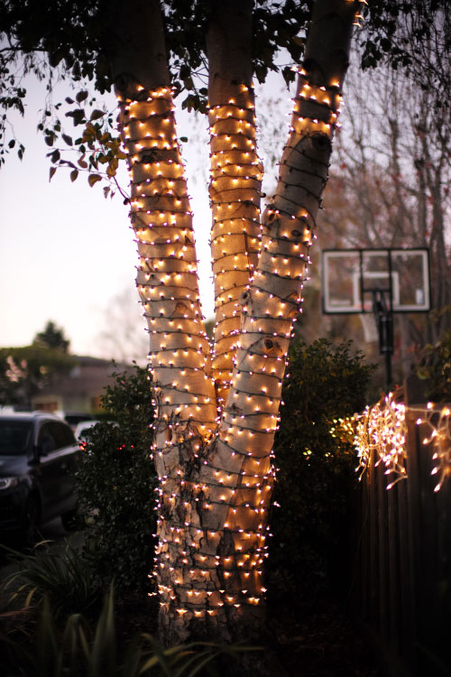 Lights in Burlingame (California) for Christmas, 2016. 