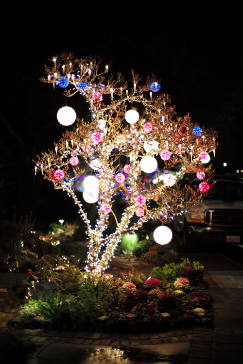 Lights in Burlingame (California) for Christmas, 2016. 