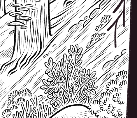 La préparation de l'art print pour le seconde Ulule de la BD "Comme convenu". 