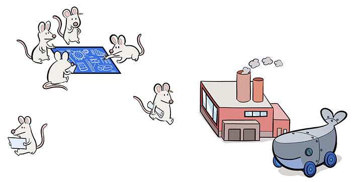 Dockercon 2017 - Austin, Texas - illustrations by Laurel Duermael 