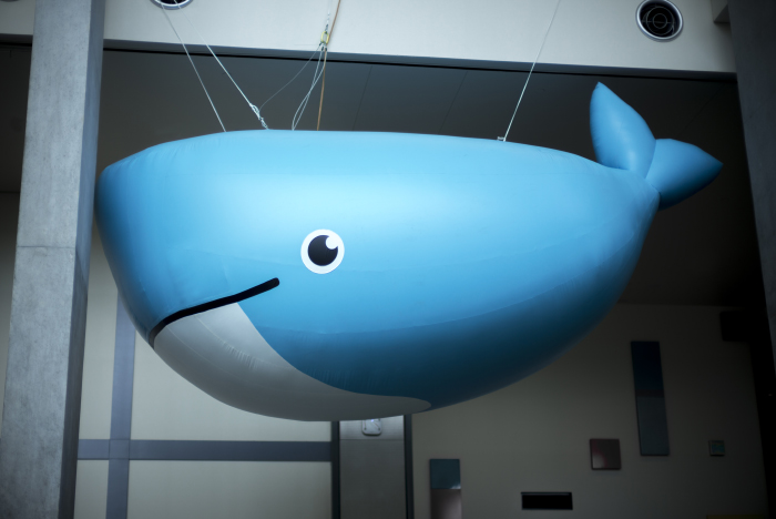 J'ai eu la chance d'aller à la conférence Docker cette semaine, à Austin (Texas) ! 