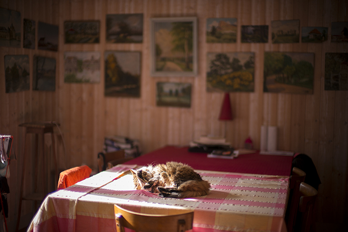 Brume fait une petite pause sieste et toilettage sur la table...